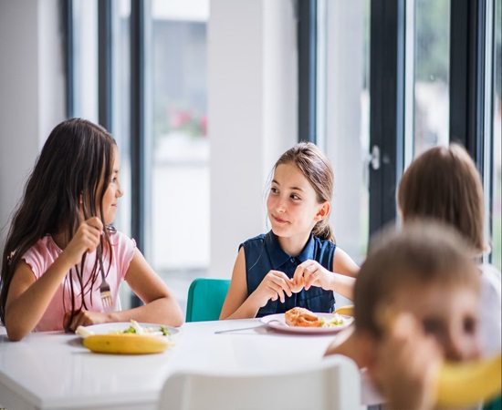 Balanced Lunches for Primary Schools